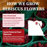 SKMTT Hibiscus Herbal Tea Bags - Caffeine-Free, No Sugar, 60 Teabags